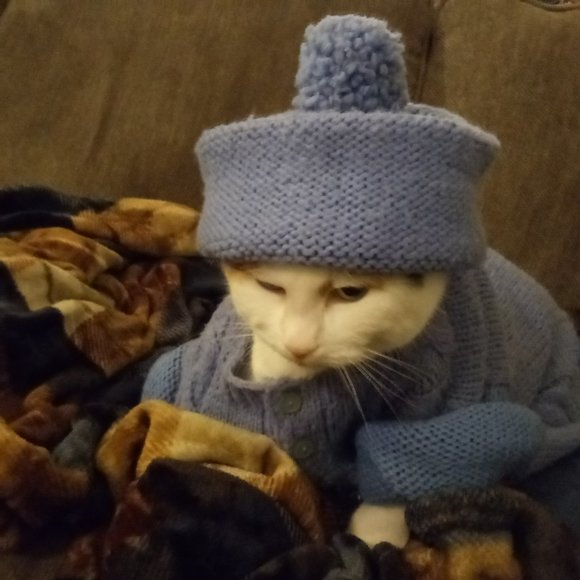 Every Offer is Considered 🐸 - Picture 7 of 7